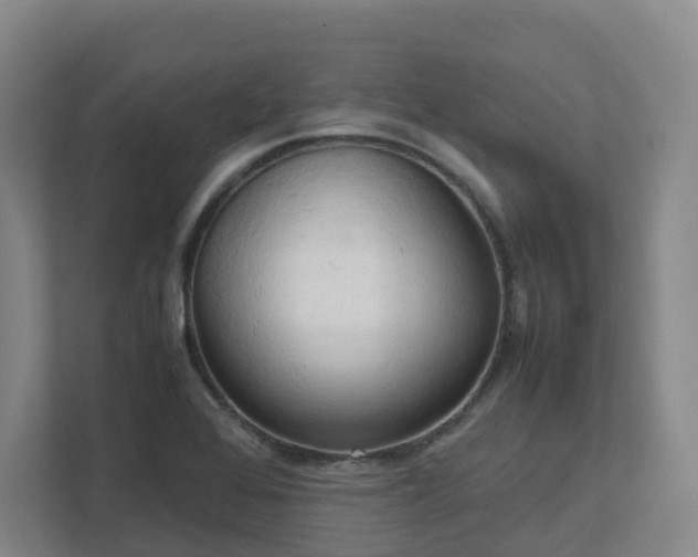 X0000111951368200908031149