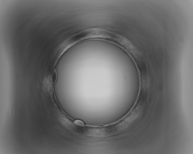 X0000111951369200908031149