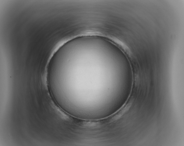 X0000111951374200908031149
