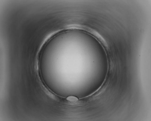X0000111951376200908031149