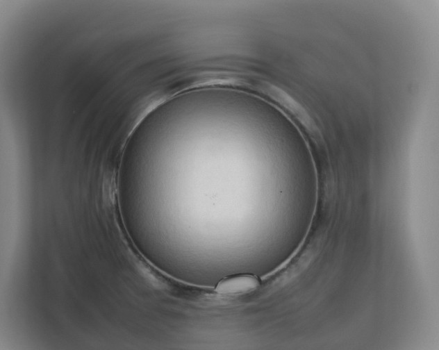 X0000111951377200908031149
