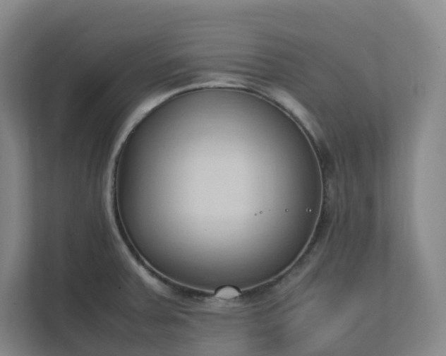 X0000111951379200908031149