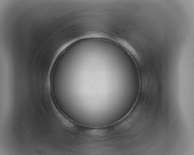 X0000111951380200908031149
