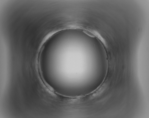 X0000111951381200908031149