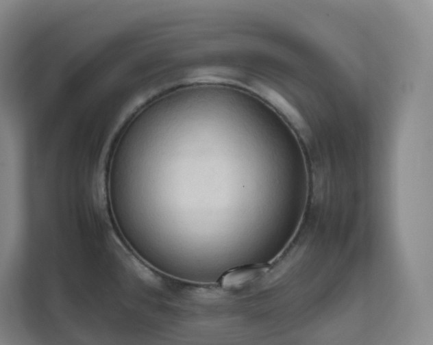 X0000111951384200908031149