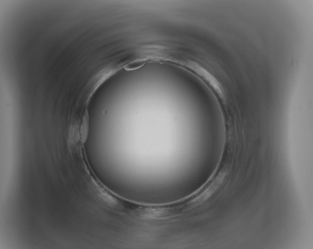 X0000111951385200908031149