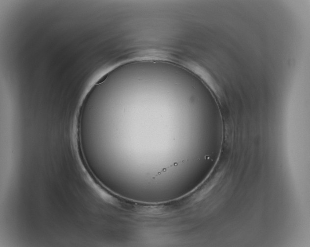 X0000111951387200908031149