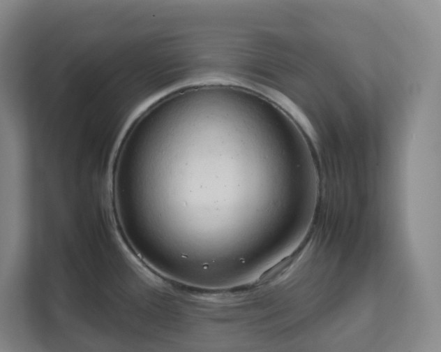 X0000111951388200908031149