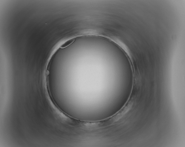 X0000111951389200908031149