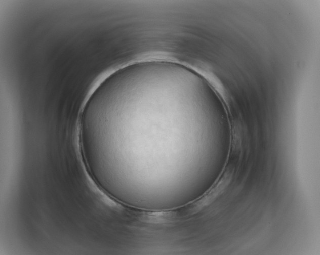 X0000111951390200908031149