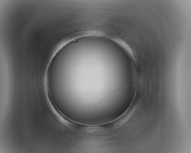 X0000111951391200908031149