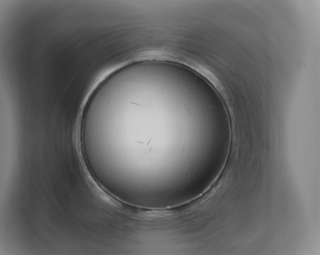 X0000111951392200908031149