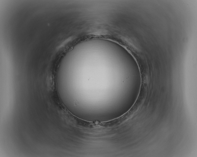 X0000111951398200908031149