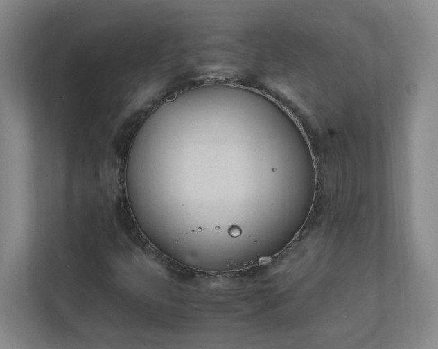 X0000111951399200908031149