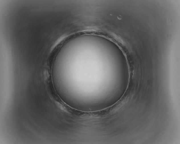 X0000111951400200908031149