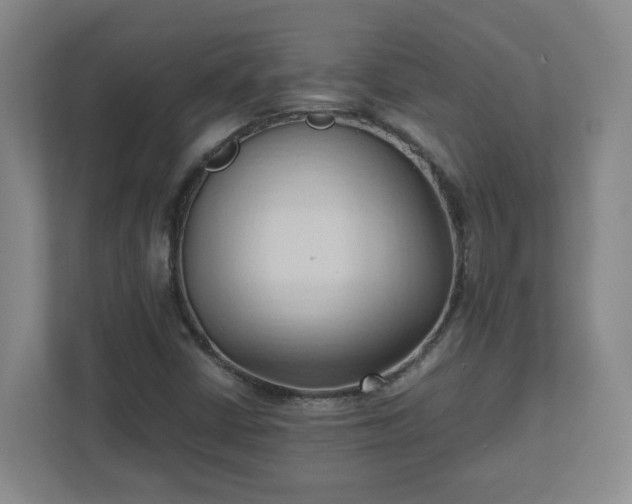 X0000111951402200908031149