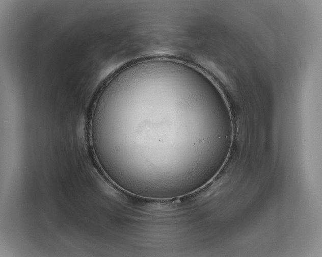 X0000111951404200908031149