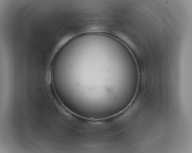 X0000111951413200908031149