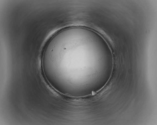 X0000111951416200908031149