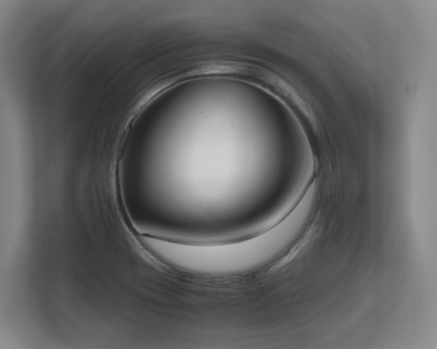 X0000111951417200908031149