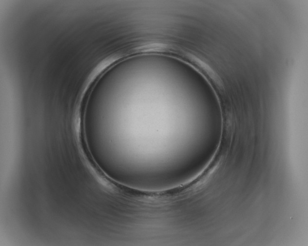 X0000111951418200908031149