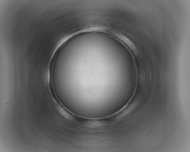 X0000111951420200908031149