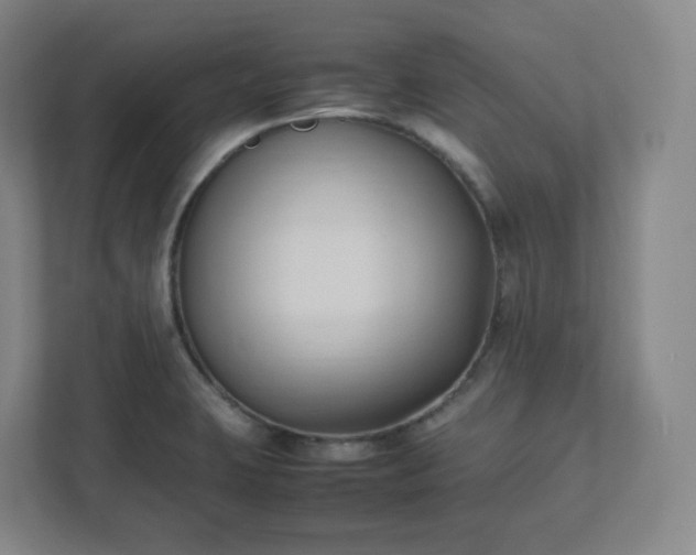 X0000111951423200908031149