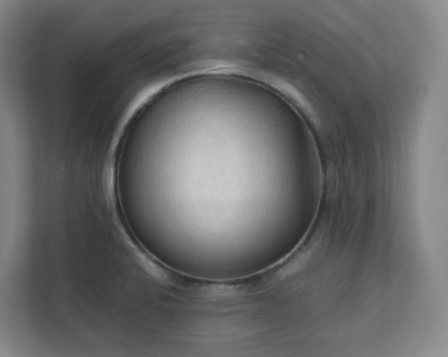X0000111951424200908031149