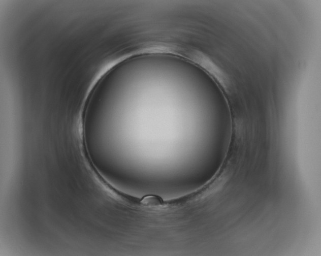X0000111951428200908031149