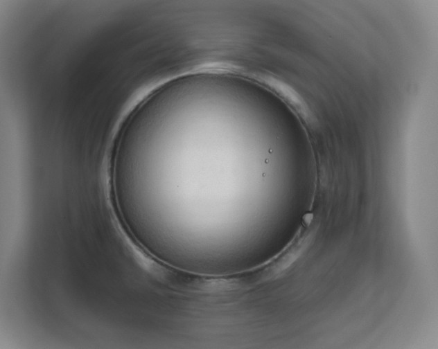 X0000111951430200908031149