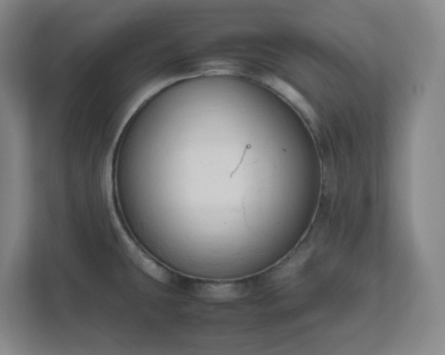X0000111951431200908031149