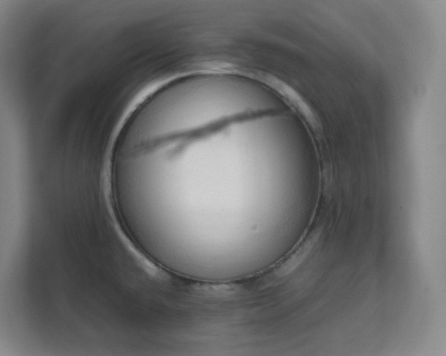 X0000111951432200908031149