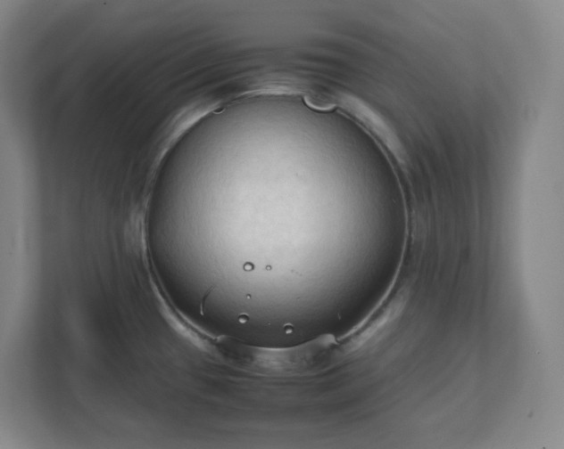 X0000111951433200908031149