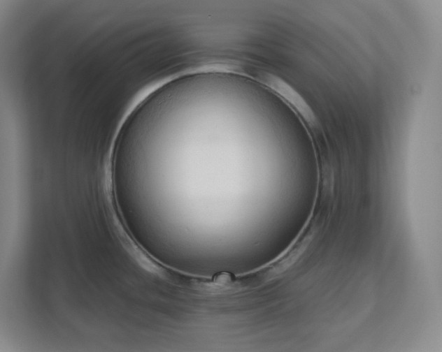 X0000111951436200908031149