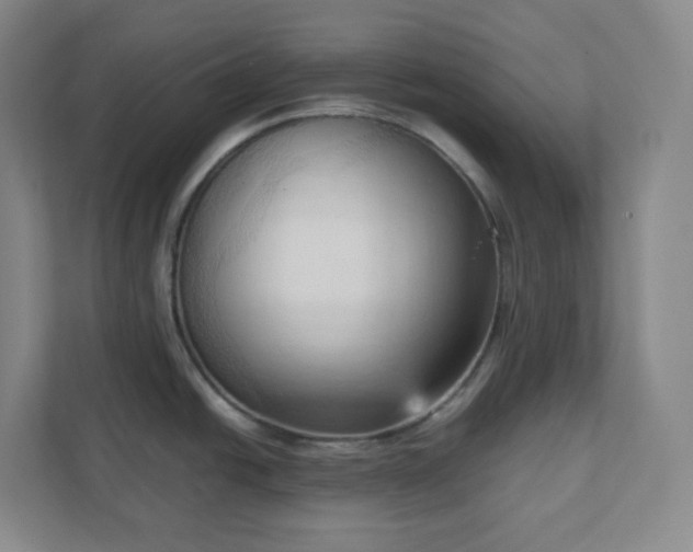 X0000111951438200908031149