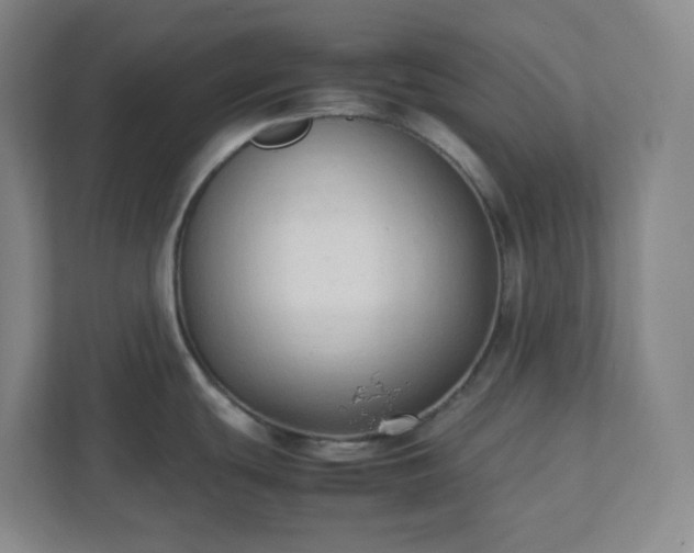 X0000111951439200908031149