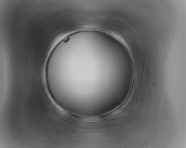 X0000111951440200908031149