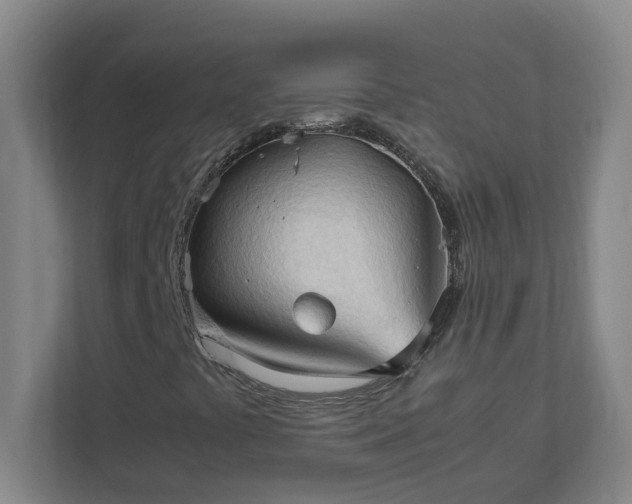 X0000111951441200908031149