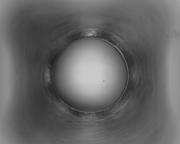 X0000111951442200908031149