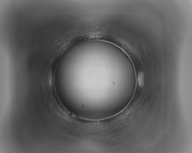 X0000111951444200908031148