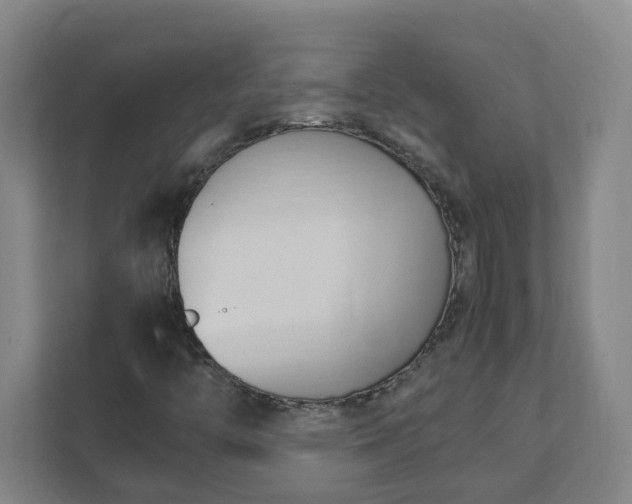 X0000111951446200908031148