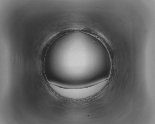 X0000111951448200908031148