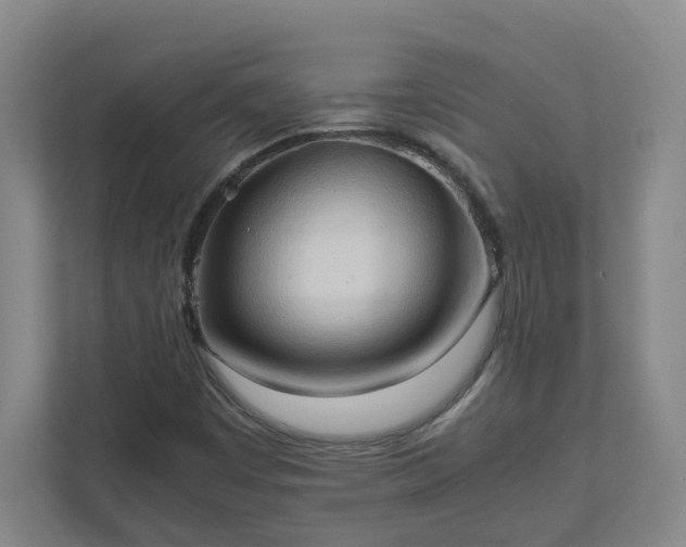 X0000111951449200908031148