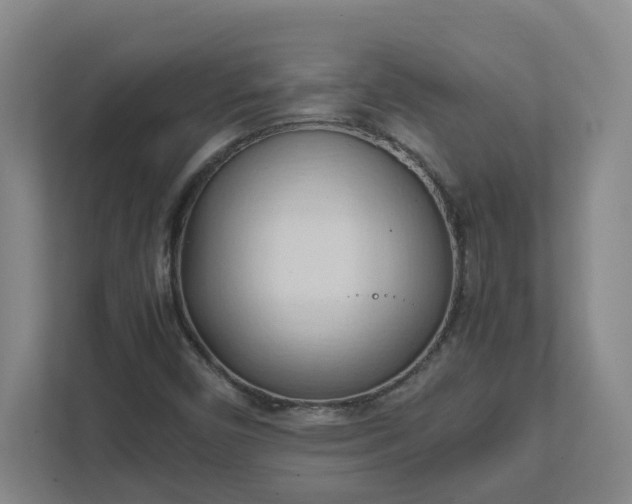 X0000111951450200908031148