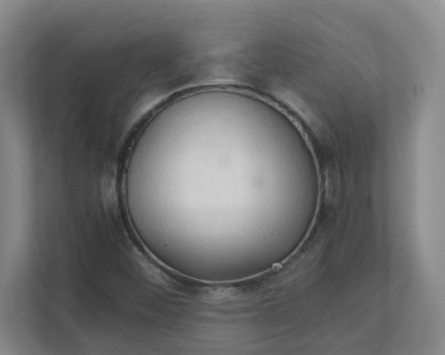 X0000111951452200908031148
