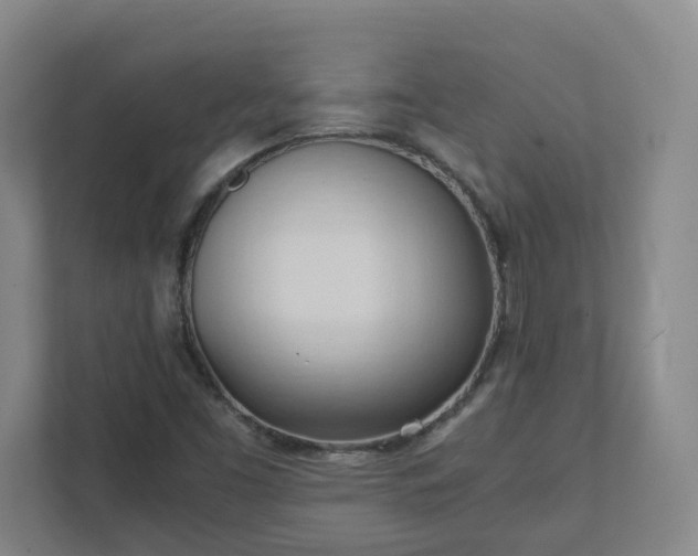 X0000111951453200908031148