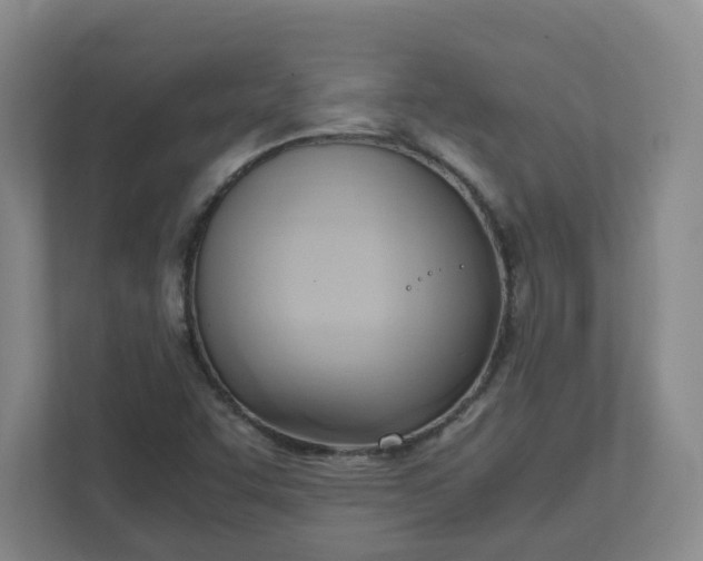 X0000111951455200908031148
