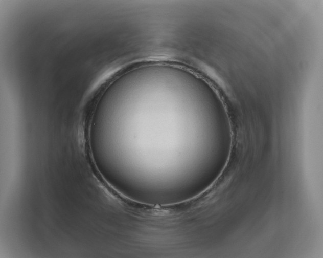 X0000111951456200908031148