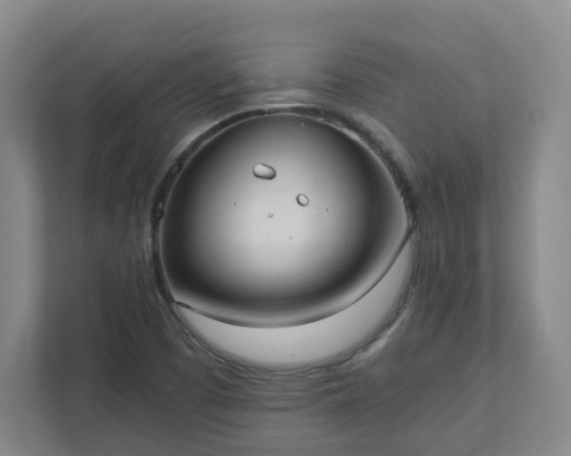 X0000111951457200908031148