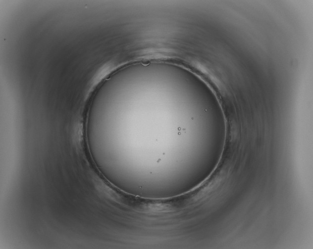 X0000111951459200908031148